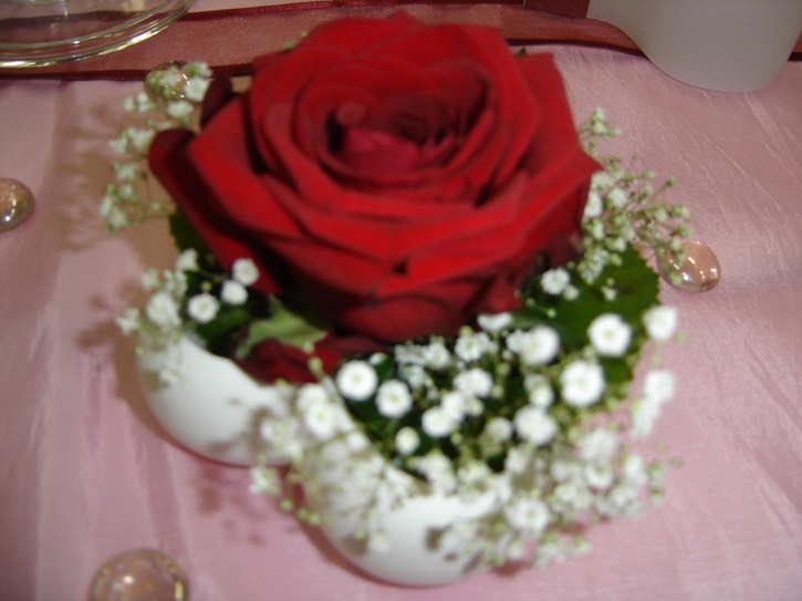 DSC00283